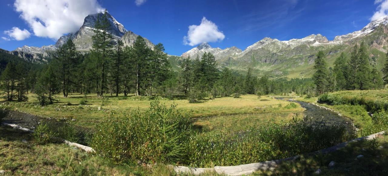 Casa Vacanza In Tipico Chalet Di Montagna Varzo Exterior foto